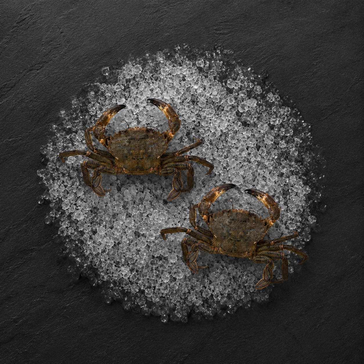 Navalheira